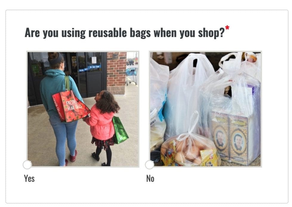 DNREC is surveying consumers on Delaware's ban on single-use plastic bags. (DNREC) user interface