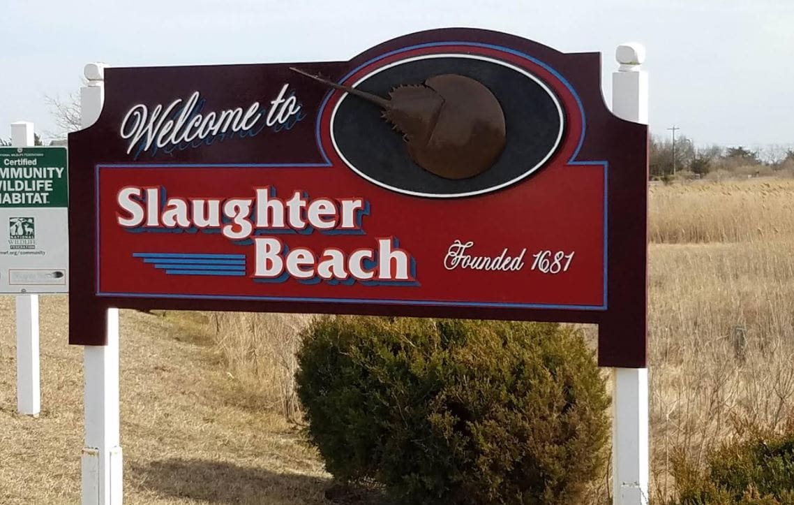 Slaughter Beach mayor asks Dems to rethink moving town to new Senate district