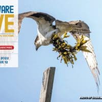 Delaware LIVE Weekly Review – March 27, 2022