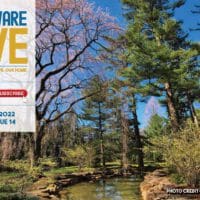 Delaware LIVE Weekly Review – April 10, 2022