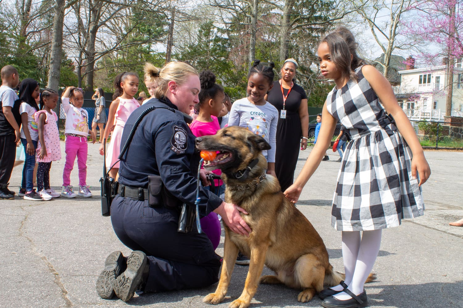 Featured image for “Police dogs to receive more state benefits when working, retired”
