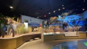 Delaware Museum of Nature and History