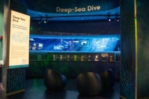 DelMNS Oceans Deep Sea Dive