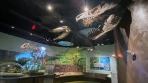 Delaware Museum of Nature and History