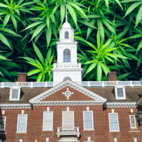Marijuana possession bill passes in Senate, heads to Carney