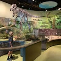 Newly opened Museum of Nature, Science to get $500,000 from county