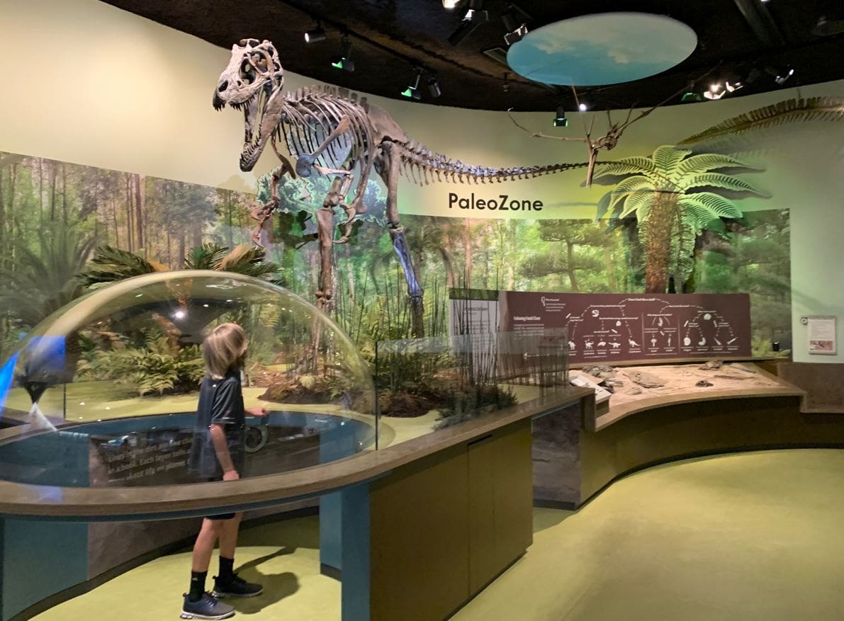 Delaware Museum of Nature and Science opening