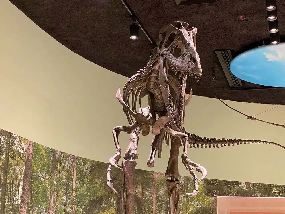 paleozone dryptosaurus