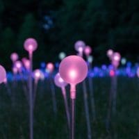 Longwood Gardens to light up June 30 with Munro exhibit