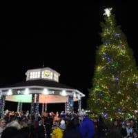 Got a big tree? Rehoboth Beach wants it for Christmas