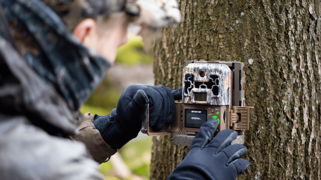 Hunters setting up trail cameras.