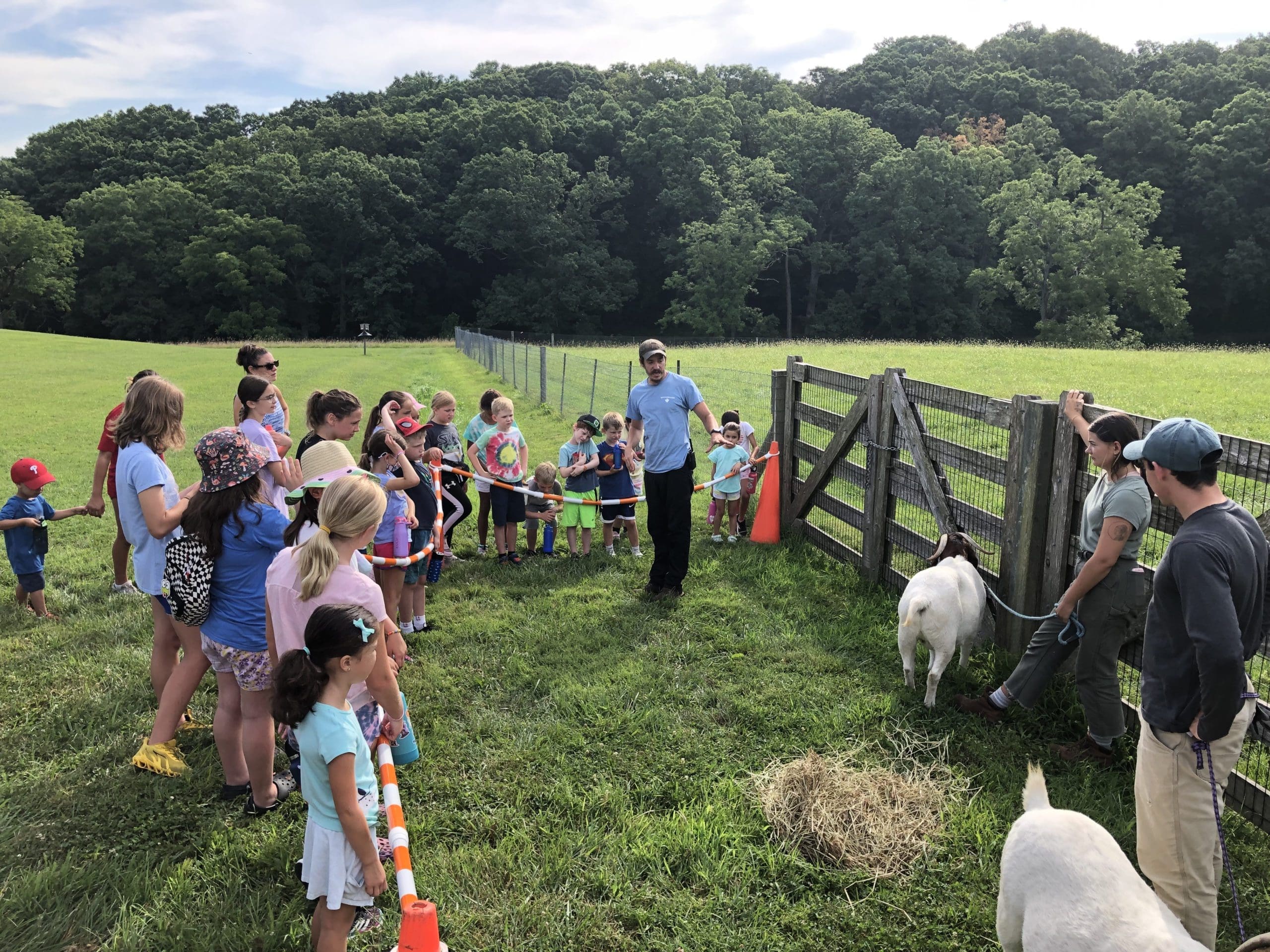The campers had a chance to play with some goats and sheep. 
