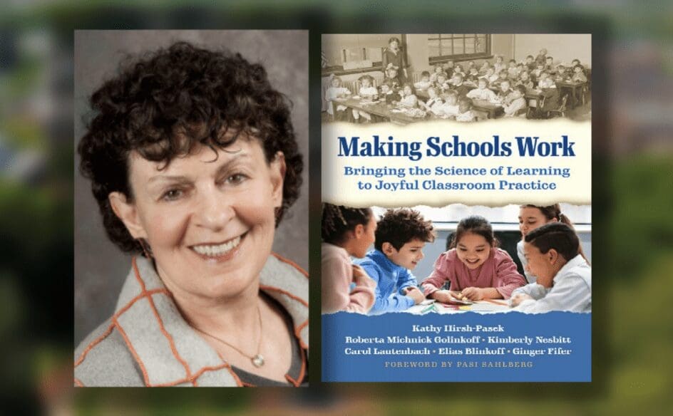 Featured image for “UD professor’s book on improving schools focuses on fun”