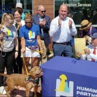 Rescue dog made Delaware’s official state pup