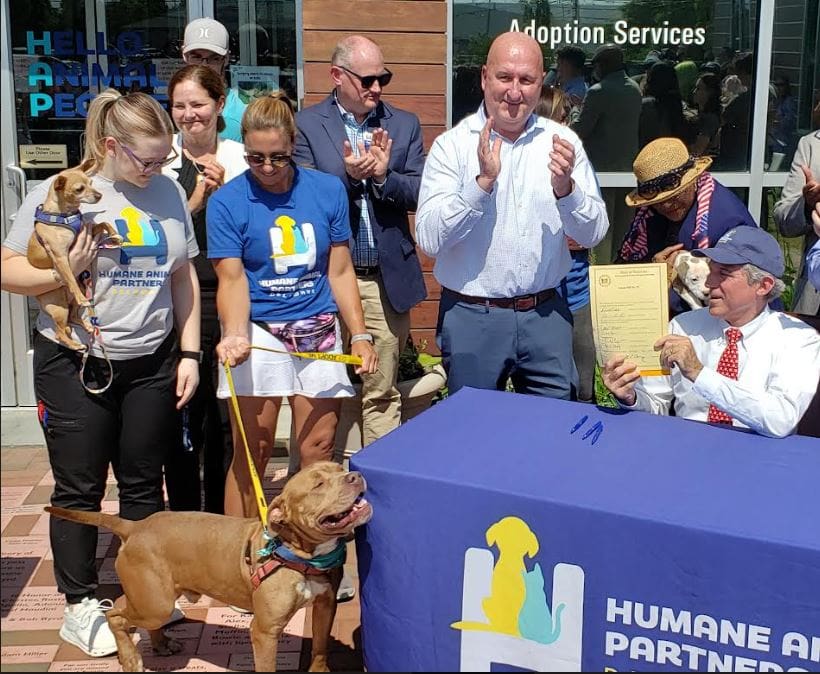 Featured image for “Rescue dog made Delaware’s official state pup”