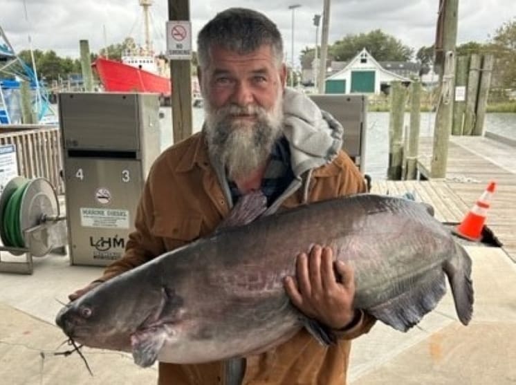 Bridgeville angler Sydney McBroom with 53-pound Delaware record blue catfish caught on the Nanticoke River.