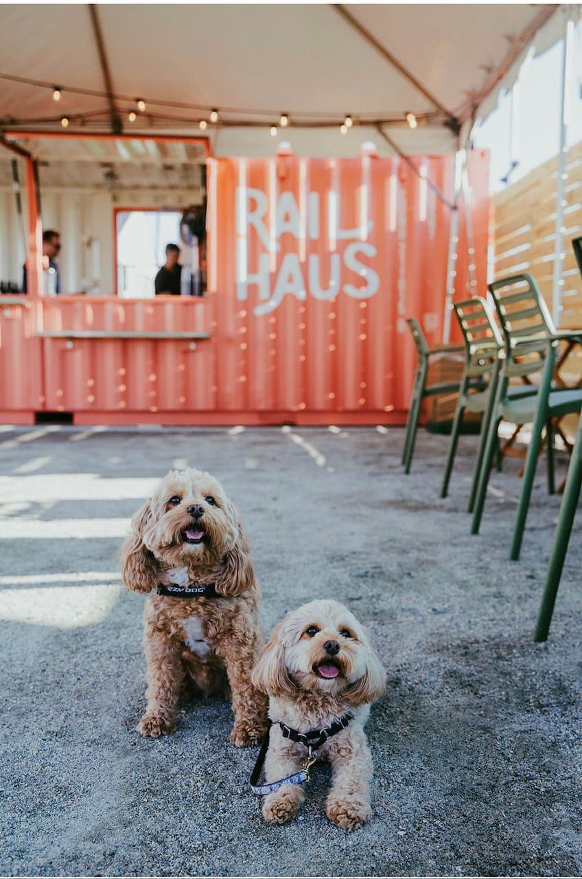 The Rail Haus, a dog- and family-friendly beer garden in downtown Dover, recently won an EDGE grant from the state. (Courtesy of Donny Legans)