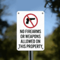 HB 311 punishes most people for carrying a firearm in a Delaware college Safe School Zone with a class E felony.