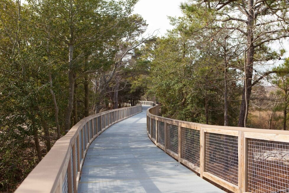 The Gordons Pond trail is one of the superintendent's picks at Delaware State Parks. Courtesy of Delaware State Parks.