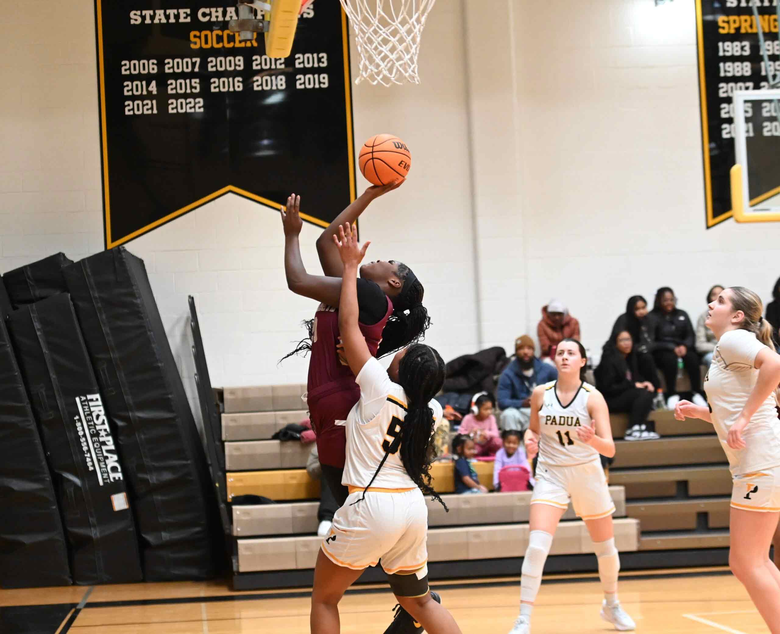 Featured image for “St Elizabeth’s Sullivan makes last-second shot in OT to defeat Padua ”