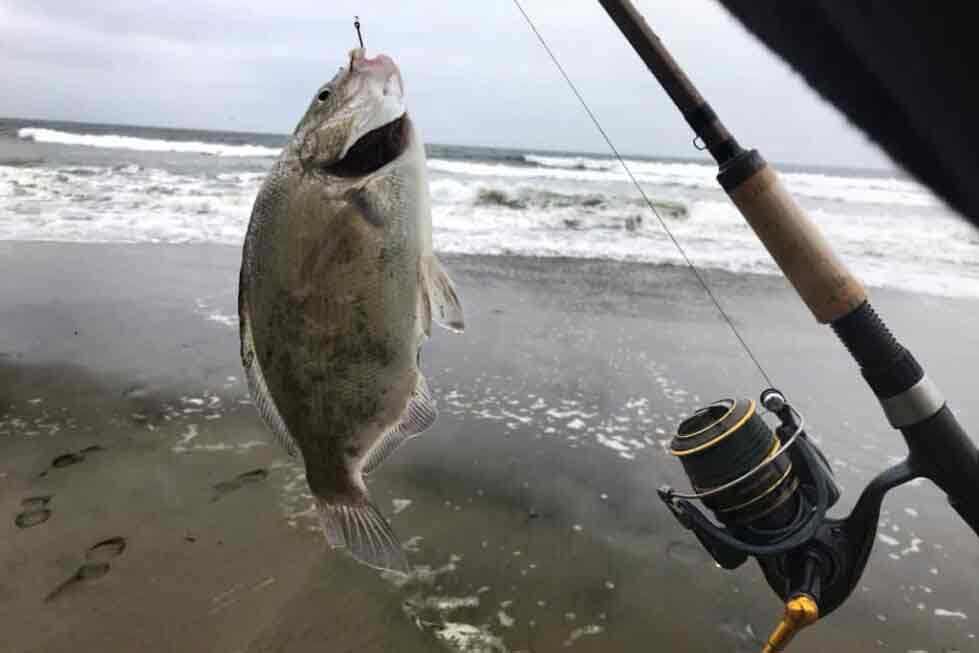 Surf fishing reservations will be required starting Saturday.