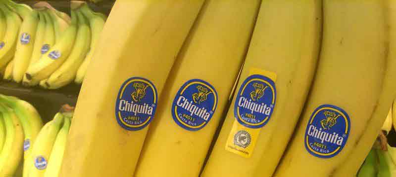 Featured image for “Chiquita’s largest U.S. port operation to stay in Wilmington under renewed deal”
