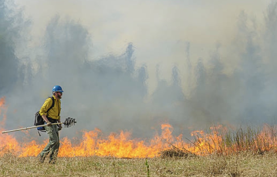 The forest service started the controlled fire after a hay fire in Clayton this week.