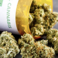 Delaware's recreational marijuana sales started Aug. 1, and there was plenty of public demand for the various products.