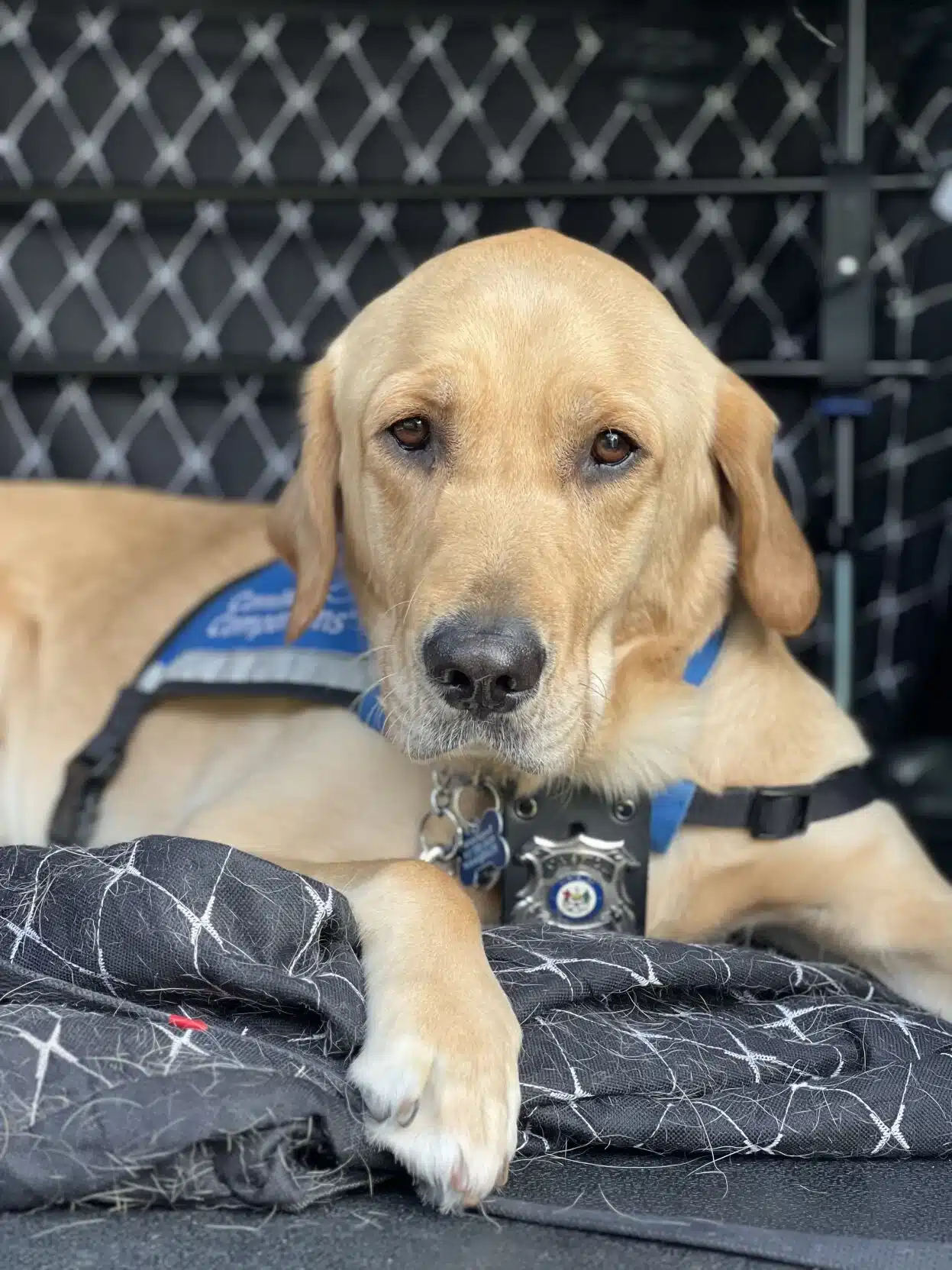 Featured image for “Capitol Police Expanding Facility Dog Program Statewide”