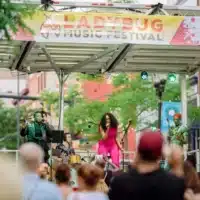 ladybugmusicfestivalcrowd